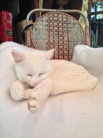 10386320_10152301065728978_5421680720711969469_n