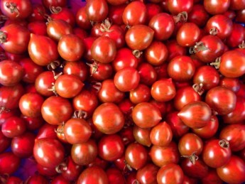 10414634_10152226762308978_8859561609468602169_n