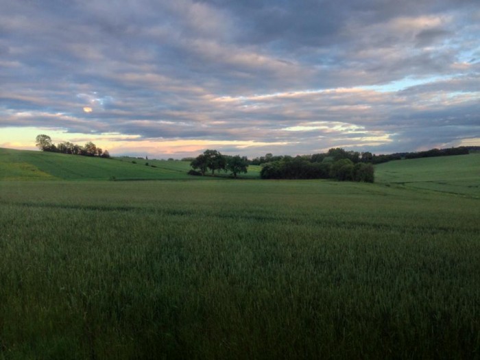 10513427_10152301064053978_7556395080640701478_n