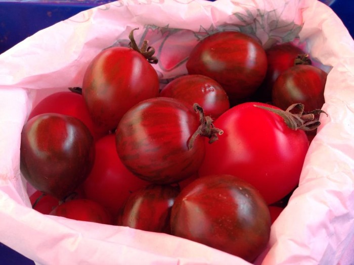 1907656_10152226762813978_8197344590588256808_n