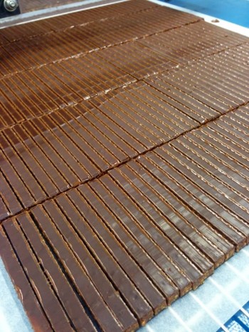 10689599_10152626422113978_7223702731698714158_n