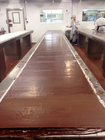 10846309_10152626418863978_2355479507211081070_n