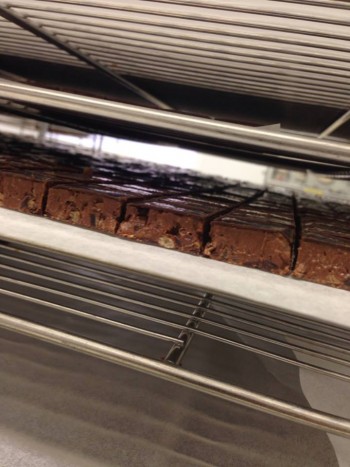 64778_10152626423263978_6909298434926506417_n