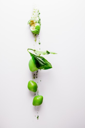 CedricGrolet_Citronvert 16 -® Pierre Monetta