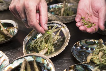 Nespresso_1151-®NguyenNgocEmmanuelBD